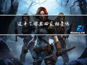 过年了你要回家相亲吗英语