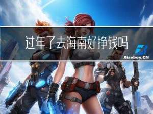 过年了去海南好挣钱吗