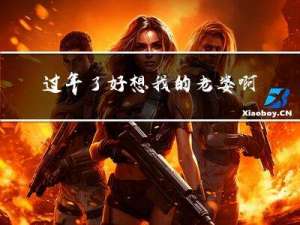 过年了好想我的老婆啊