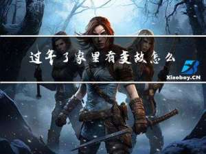 过年了家里有变故怎么办