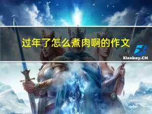 过年了怎么煮肉啊的作文