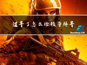 过年了怎么给领导拜年信息