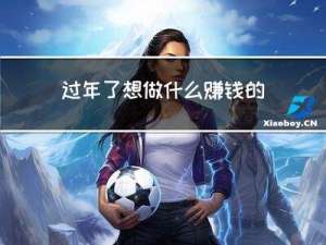 过年了想做什么赚钱的