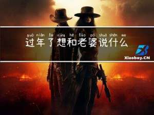 过年了想和老婆说什么