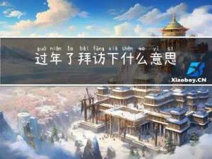 过年了拜访下什么意思