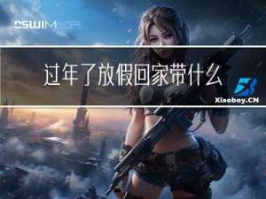 过年了放假回家带什么礼物