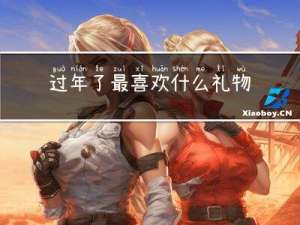 过年了最喜欢什么礼物作文