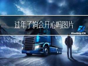 过年了狗会开心吗图片