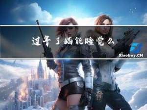 过年了猫能睡觉么