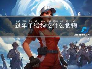 过年了给狗吃什么食物