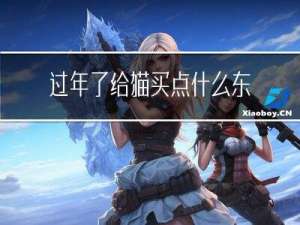 过年了给猫买点什么东西