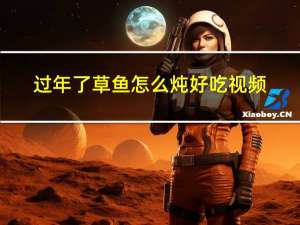 过年了草鱼怎么炖好吃视频