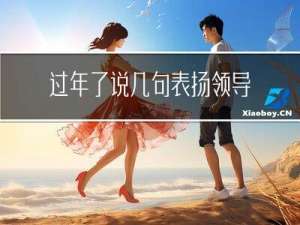 过年了说几句表扬领导的话