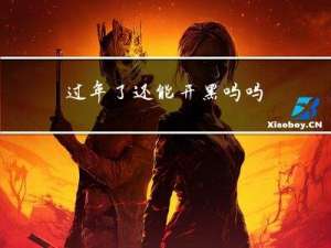 过年了还能开黑吗吗