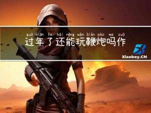 过年了还能玩鞭炮吗作文