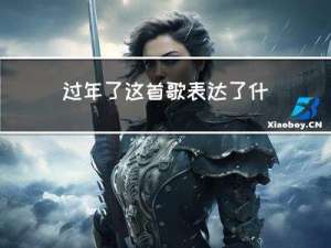 过年了这首歌表达了什么