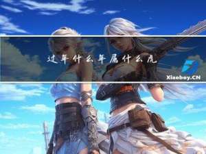 过年什么年属什么虎