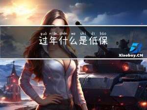 过年什么是低保