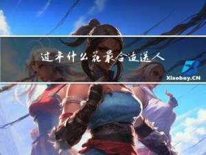 过年什么花最合适送人