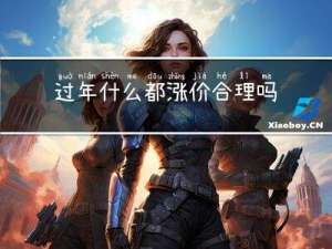 过年什么都涨价合理吗英语