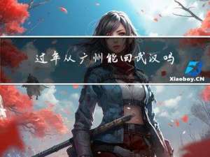 过年从广州能回武汉吗