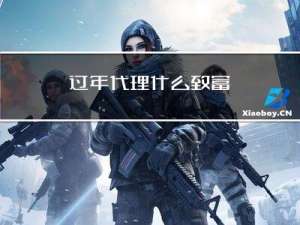 过年代理什么致富