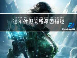 过年休假流程原因描述
