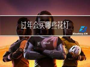 过年会买哪些花灯