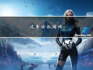 过年会抓赌吗