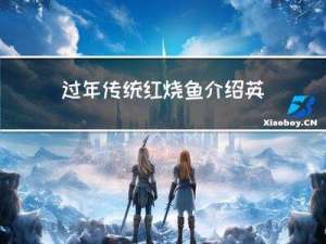 过年传统红烧鱼介绍英文