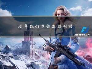 过年你们单位发福利吗英文