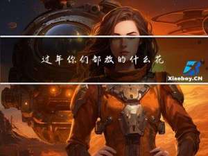 过年你们都放的什么花瓣