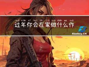 过年你会在家做什么作文