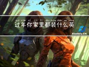 过年你家里都装什么英语