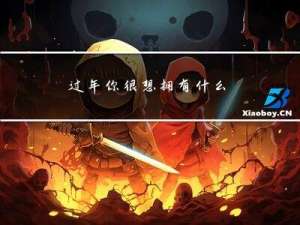 过年你很想拥有什么