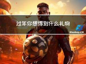过年你想得到什么礼物