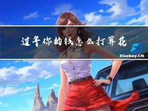 过年你的钱怎么打算花呢