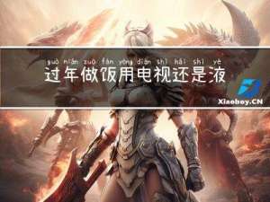 过年做饭用电视还是液晶