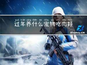 过年养什么宠物吃肉好呢