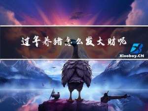 过年养猪怎么发大财呢