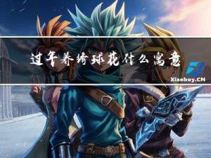 过年养绣球花什么寓意