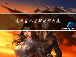 过年军人守护的照片是什么