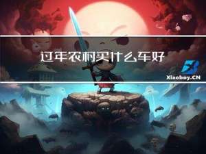 过年农村买什么车好