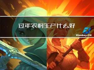 过年农村生产什么好