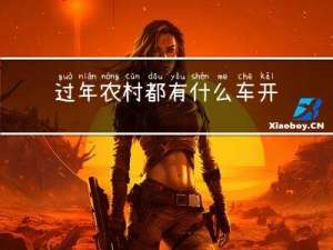 过年农村都有什么车开