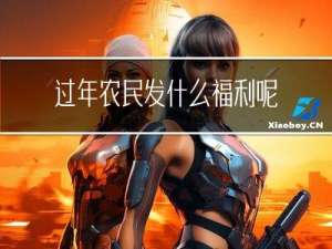 过年农民发什么福利呢