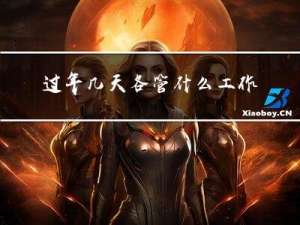 过年几天各管什么工作