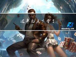 过年几点下雪了