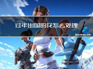 过年出国的花怎么处理的