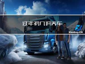 过年初几供养车